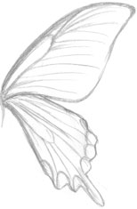 �H