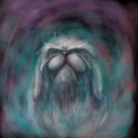�V���̗�