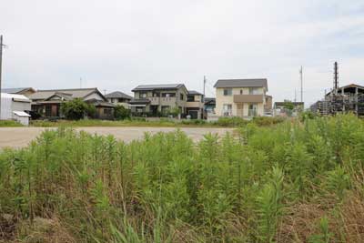 草だらけの緑町公園用地