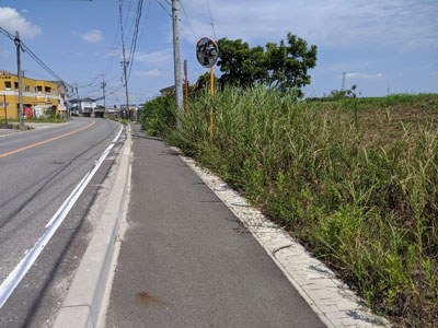 愛知県が長田川護岸の草刈りを実施。市道の雑草が、歩道にかかるほど刈りのこしに。市に要望し、刈っていただくことになりました。