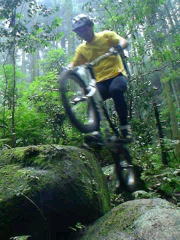 �J�b�R�ǂ����c