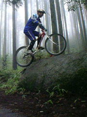 �f�|�l�`�f�h�b�X��