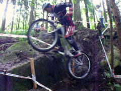 �Q�U�C���`�@��P�Z�N�V����