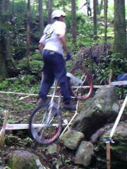 �Q�U�C���`�@��P�Z�N�V����