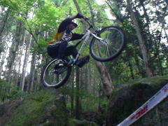 �Q�U�C���`�@��Q�Z�N�V����