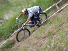 �Q�U�C���`��W�Z�N�V����