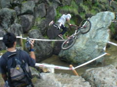 �Q�U�C���`�@��X�Z�N�V����