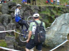 �Q�U�C���`�@��X�Z�N�V����