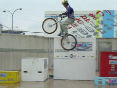 �Ԃ������甒������