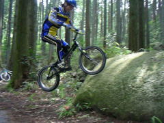 �o�j�[�Ŕ�т��I