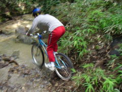 ���̗c����݂ł�