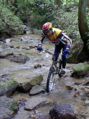 �f�|�l�`�f�h�b�X��