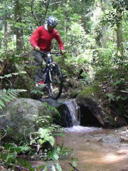 ���G���g���[