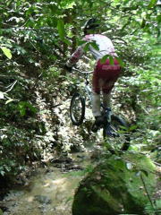 �e�q�Ό��H