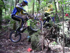 �܂��܂��o��