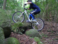 ���m�ɂ́u�c�l�J���v�Ƃ����Z������炵���c