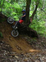 �R���y��̕��i