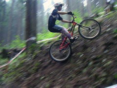 ���֗D�I��