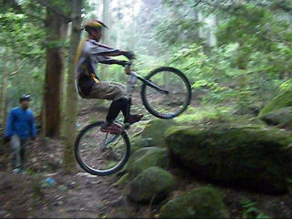 �ꔭ�X�e�A�Z�N�V����