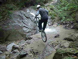 �R���y��ɐ�ł��V��