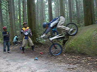 �����ڂ�肸���Ƌ������킵�~��