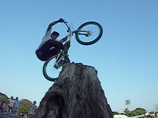 �؂芔�ɃE�B�i���h�I