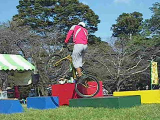 �R���y��̃f��