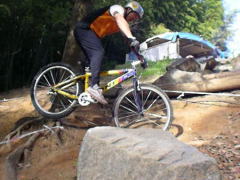 �������͂����łQ��Ƃ��������܂����c