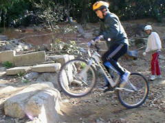 �V�[�g�͌����܂��񂪖ؐ��ł�