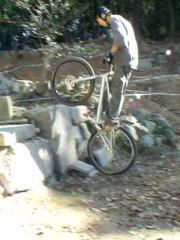 �Ⴂ���đf���炵��