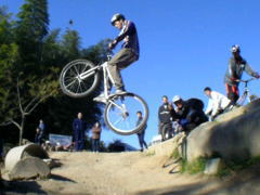 �J�b�R�ǂ����I