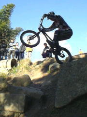 �t���Ō����܂��񂪔~���I��ł�