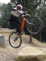 �I���W�i���y�C���g�̃s�b�g�u��