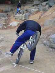 �ʏ́F�~�W�C����