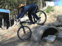 �A���N���Ń��W�A���̂e�z�C�[���͐����c