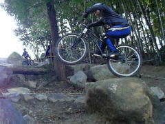 �O�d����y�X