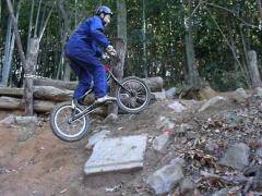 �J���C����