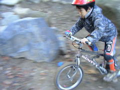 ����L���ȕ��̉����q