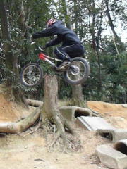 �������C�f�B���O�Q