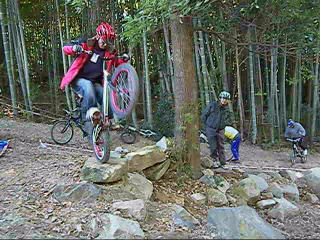 �ǂ��ł��_�j�G���`