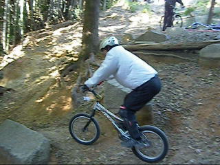 ����͒������c