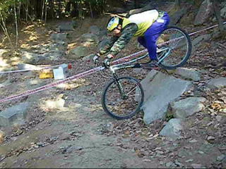 ����ꍲ������