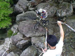 �쉈���̃Z�N�V����