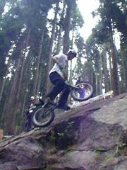 ������݂̊�ՃZ�N�V����