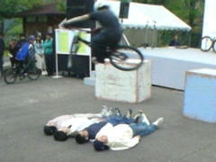 �J�b�R�ǂ�����c