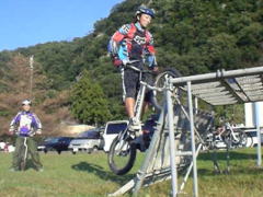 �X�N�[���I����