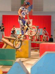 �΂̑�͉������P�Tcm����������܂���