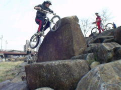 �򗢏[�u�I��