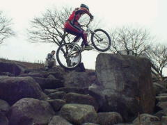 �����͐��I��