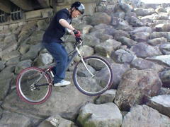 �q��T��I��